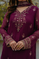 3 Piece Chiffon Embroidered Suit (FL0009)